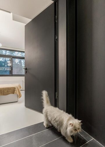 Freameless Door